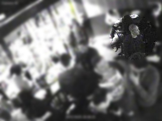 thief